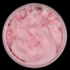 STEPENO MILO PINK LEMONADE